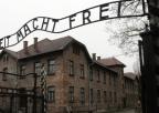 Auschwitz - Birkenau