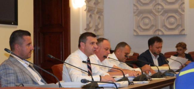 Ionuţ Popovici, Silviu Hurduzeu, Flaviu Nedelcea
